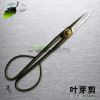 盆景工具/葉芽剪/樹芽剪/專業修剪葉芽/精品葉芽剪/朱記盆景工具