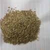 批發(fā)黑麥草草坪種子 黑麥草種子包發(fā)芽量大從優(yōu)