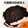 批發花卉專用營養土 種菜土 養花土 栽培基質 有機土200克/袋