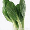 批發(fā) 四季油菜種子 有機綠色蔬菜種子 陽臺菜園種植盆栽 100粒/袋