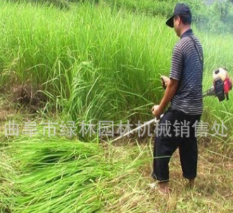 山東廠家直銷多功能小型背負(fù)式割草機(jī) 側(cè)掛式除草機(jī)收割機(jī)