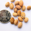 批發櫻花種子 日本櫻花 林木種子 當年新采 品種齊全 量大優惠