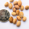 批發櫻花種子 日本櫻花 林木種子 當年新采 品種齊全 量大優惠