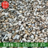 英德產(chǎn)地批發(fā)鋪路鵝卵石裝飾砂層石魚池過(guò)濾石