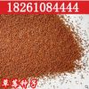 批發(fā)蔬菜水果種子 草莓種子 奶油草莓 白莓