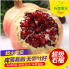 買品質款果樹苗 耐寒軟籽石榴1年嫁接苗 突尼斯石榴樹苗產地貨源