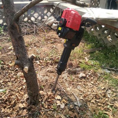 云南手提式挖樹機廠家 圣魯便攜式挖樹機 操作簡便起苗機
