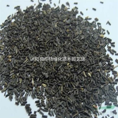 櫸樹.紅楓.木槿.意楊.櫻花.紫薇.合歡.高桿女貞