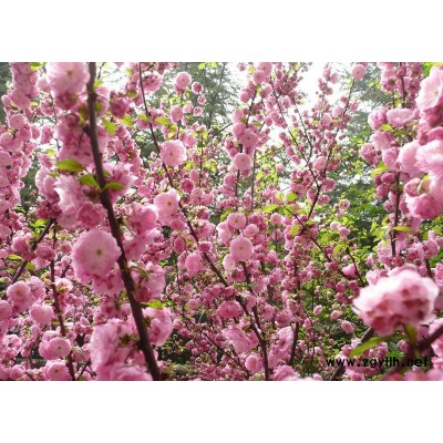 遮陽網(wǎng)、防曬網(wǎng)