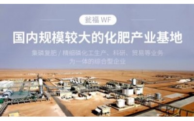 甕福(集團)有限責任公司