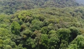高黎貢山保護區(qū)保山管護局與西雙版納植物園簽訂合作協(xié)議