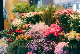昆明國際花卉園藝展覽會 IFEX